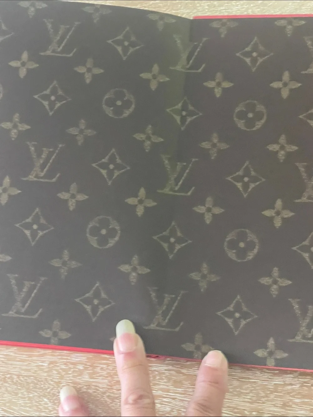 Louis Vuitton Jane Notebook MM in the vibrant Sari Red